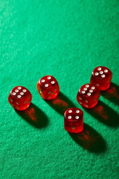 togel lotto Bingo